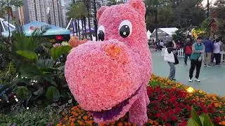 Flower show 2025 C9503