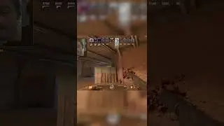 Самый опасный зверь тот, что загнан в угол #counterstrike #csgomoments #csgohighlights #twitch