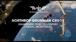 NG-19 Research: Emory University