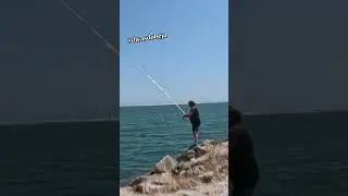PICADA EM DIRETO NA SECIL #dicasdobeja  #fishing #rockfishing