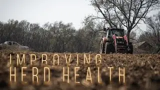 How to Choose and Establish a Mineral Site | Building Whitetails | SPYPOINT