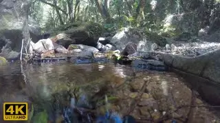 1-hour Meditational Healing Background Music 4K UHD| Ambient, Thoughtful, Zen, Therapy, Sleep