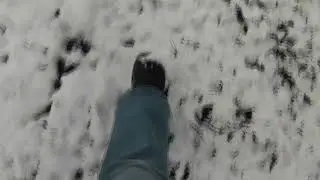 Footsteps in Fresh Snow ❄️ Calming Winter Nature Sounds | ASMR for Deep Relaxation