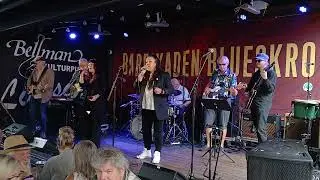 Notodden Bluesfestival 2025 Bellman Kulturpub - Free Lane