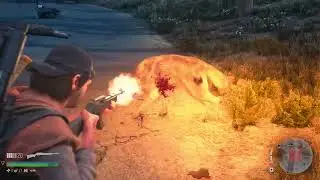 DAYS GONE The 22 Repeater Versus Runners and Wolves Attacking