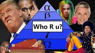 The Guide to Life (aka The Social Hierarchy)
