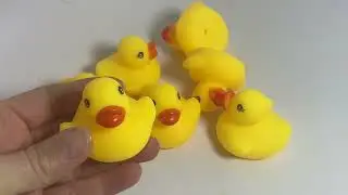 Yellow rubber ducky toys