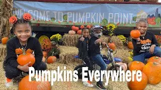Pumpkin Patch in NYC| Trip To Governors Island.