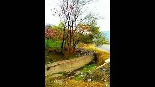 swat spring started first rain 🌧️ day
