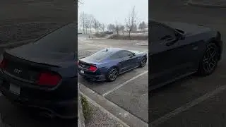 #cars #ford #mustang #v8 #carshorts