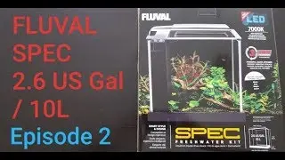 FLUVAL SPEC 10litre AQUARIUM setup and review - EPISODE 2