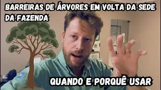 Barreiras de árvore na fazenda - famoso quebra vento