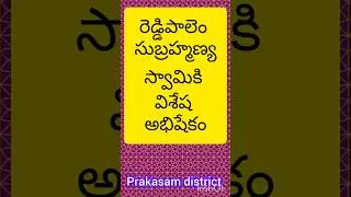 Reddypalem sri subramanya swami temple@news net tv#prakasam district#devotion