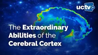CARTA: Development and Evolutionary Specializations of Human Cognitive Networks with Nenad Sestan