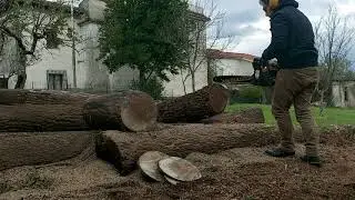 McCulloch CS50S Chainsaw