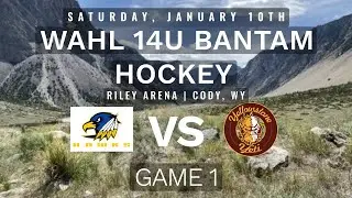 WAHL: 14U Yellowstone Yeti vs Sheridan Hawks || Game 1, Riley Arena, Cody WY