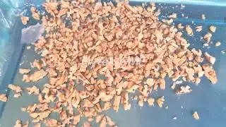 Dry Fruits Cutting Machine | Cashew Nut Cutting | Almond Cutting | Walnut Cutting Machine #dryfruit