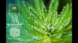 Monday Relax Music | Deep Sleep | White Quadrate