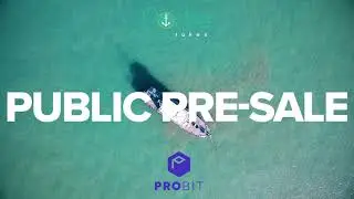 Porte Token IEO on Probit