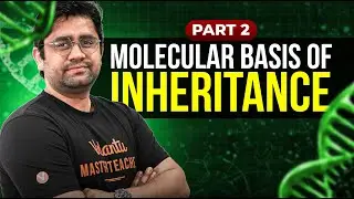 Molecular Basis of Inheritance (Part 2) | Full Chapter Explained | Class 12 Biology Boards