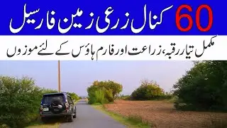 60 Kanal Agricultural Land For Sale in Chakwal Punjab Zari Raqba for sale in Mandra Chakwal Road