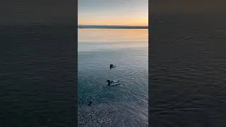 The Most Relaxing Sunrise by the Lake