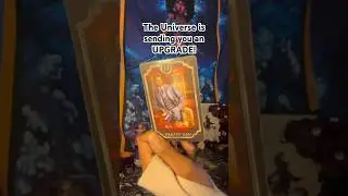 He will be wealthy, willing & able! 🥰 #tarot #lovereading #df #tarotreading
