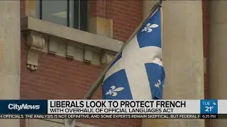 Liberals look to protect French with overhaul of official languages act