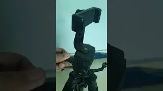 Best Temu Tripod