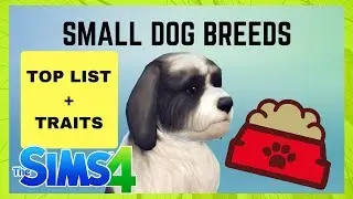 ✨ 38 SMALL DOG BREEDS THE SIMS 4✨ NINESAUR