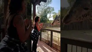 My happy place #explore #travel #giraffes
