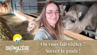 On vous fait visiter ? Suivez la guide ! 🐪