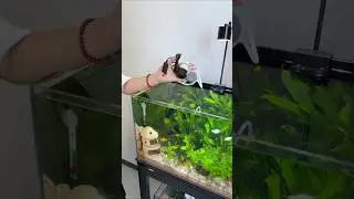 USB Silent Air Pump  Ultra Quiet Aquarium Oxygen Booster