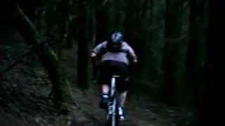 the mast trail