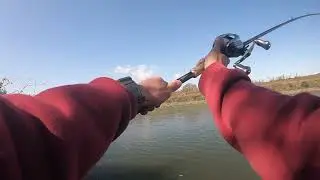 【淀川バス釣り】TN60でボトムノックしてたら@淀川（ロクマルを求めて#18）