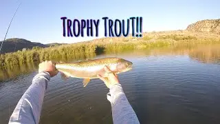 21ST Birthday TROPHY Trout Fishing (Caught A TANK!!!)
