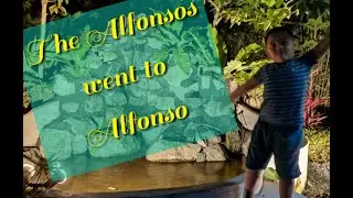 The Alfonsos went to alfonso
