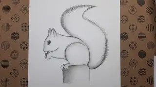 Karakalem Sincap Çizimi, Çizim Hobimiz Resimleri - Squirrel Drawing
