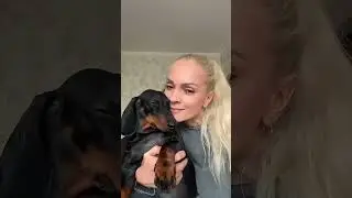 💋💋💋💋💋💋💋Kisses 💋💋💋Такса Ева-Королева. Такса лучшая собака