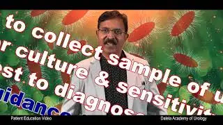 How should ladies collect urine sample for culture & sensitivity test to diagnose UTI: English Video
