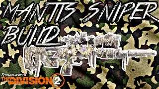 Division 2: POWERFUL ONE-SHOT Marksman Rifle Build