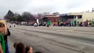 St. Patricks Day Pickle Parade, Mansfield, TX. 2014