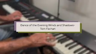 Dance of the Evening Winds and Shadows || Original Piano Composition by Tom Fachan
