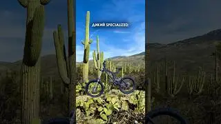 Дикий Specialized #velokon #mtb #велосипед