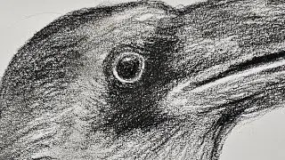 Drawing with charcoal LIVE!