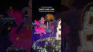 Best holiday lights in Texas 🎄 Candy Cane Lane in Corpus Christi #corpuschristi #travel