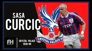 Sasa Curcic ● Goals and Skills ● Crystal Palace