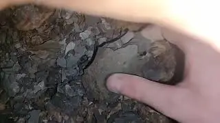 Enjoy, Natures NightTime Relaxing Sounds As Rocks Crumble Before Your Ears