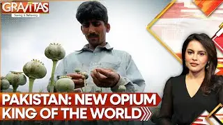 Pakistan Becomes Opium Capital Of The World With Afghan Expertise&nbsp;| GRAVITAS