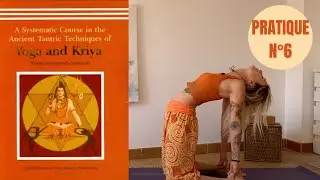 YOGA & KRIYA: Le&ccedil;on 6 de la Bihar School of Yoga (Hatha Yoga Traditionnel)